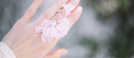 Flowers resting on the back of a hand