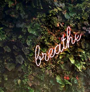 Dark green leaves with a neon sign that reads breathe