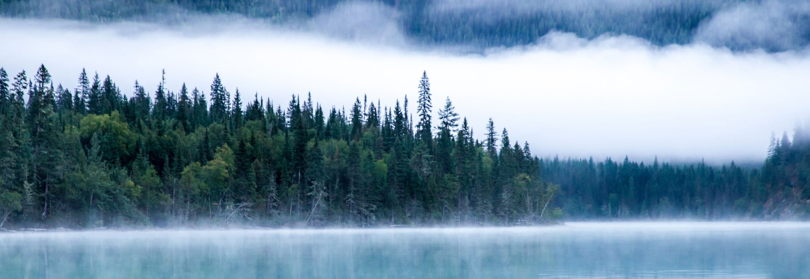 Photo of calm lake surrounded by a forrest